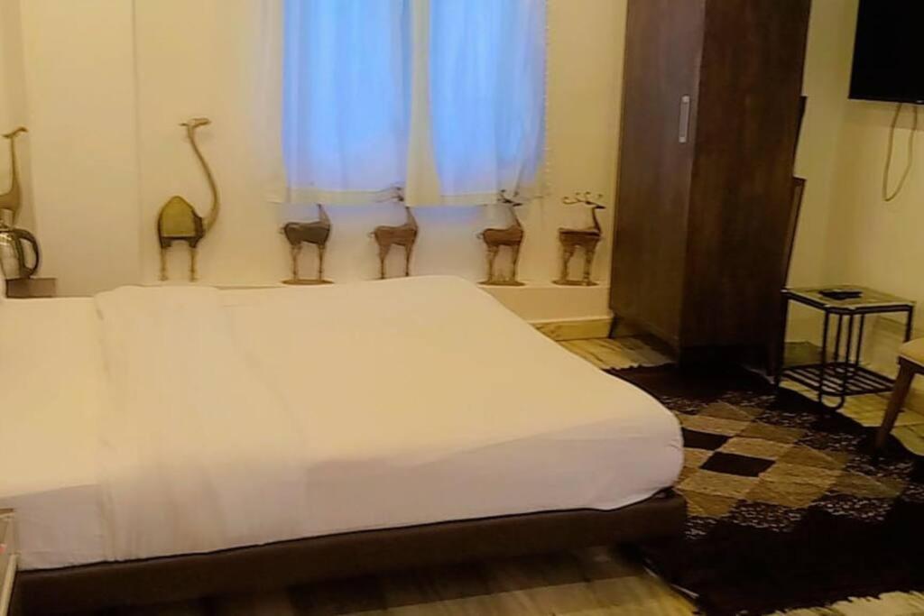 Valley Nest For 6-12 Pax Ábú-hegy Kültér fotó