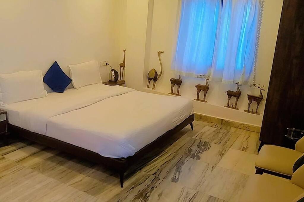 Valley Nest For 6-12 Pax Ábú-hegy Kültér fotó